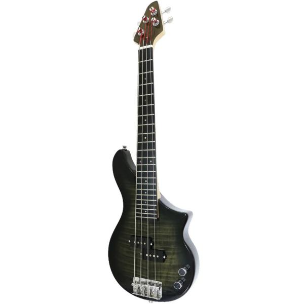 TBP-3400BFM DX-3 Line PB Type Travel Bass