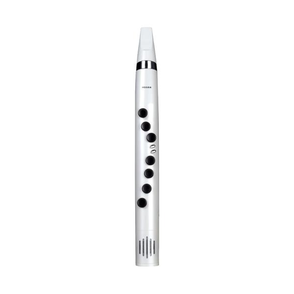 Wind Instrument 100 Wi100
