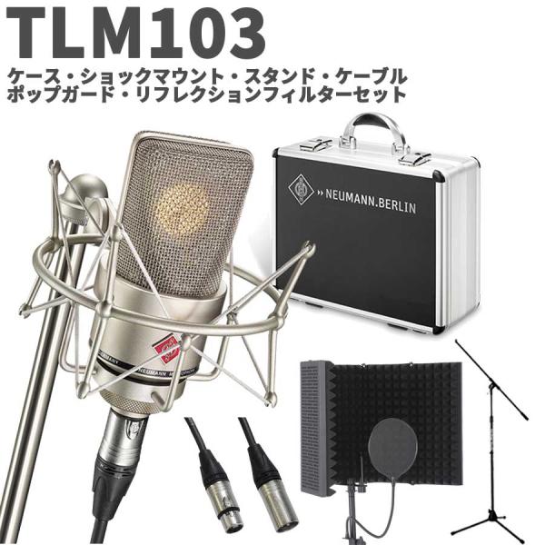 【保証期間あり】NEUMANN TLM107 ノイマン　コンデンサーマイク NEUMANN TLM107 BK(国内正規品3年保証)(ノイマン)(TLM 107 BK