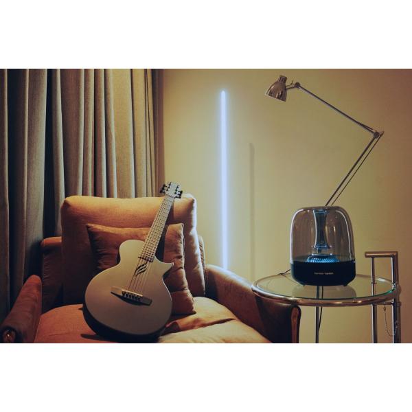 shimamura_mt0156117_3_d_20250606114808