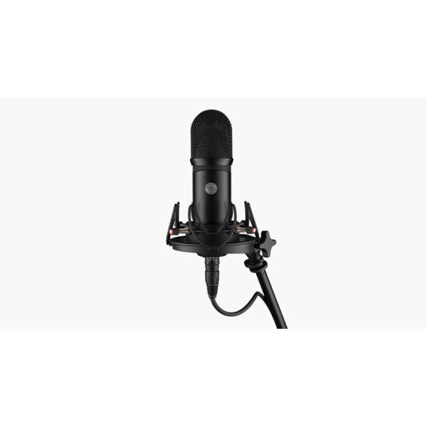 Spacial Mic Dante