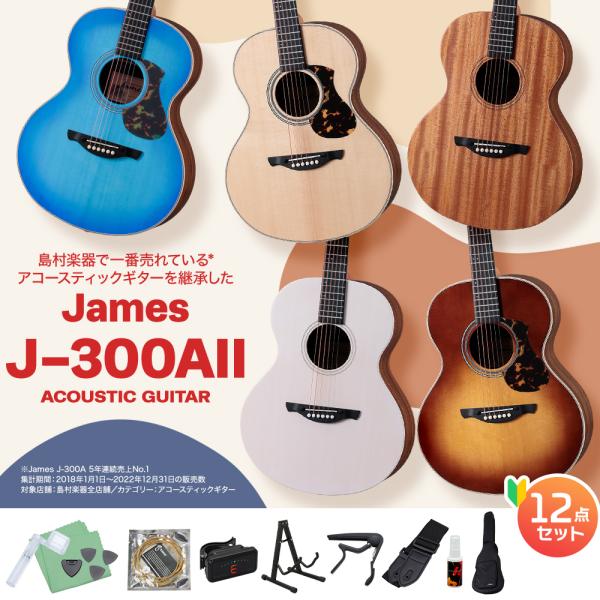 ジェームス（James） J-300AII アコースティックギター初心者12点