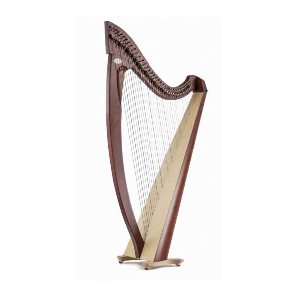 Salvi HARPS サルヴィハープ TITAN タイタン (マホガニー) Biocarbon 38弦 スタンダードモデル ハープ レバーハープ 竪琴