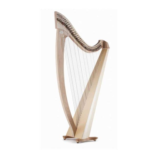 Salvi HARPS サルヴィハープ TITAN タイタン (ナチュラル) Biocarbon 38弦 スタンダードモデル ハープ レバーハープ 竪琴