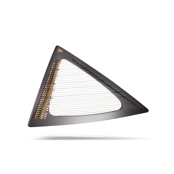 Salvi HARPS サルヴィハープ DELTA デルタ 29弦 エレクトリックハープ エレキハープ