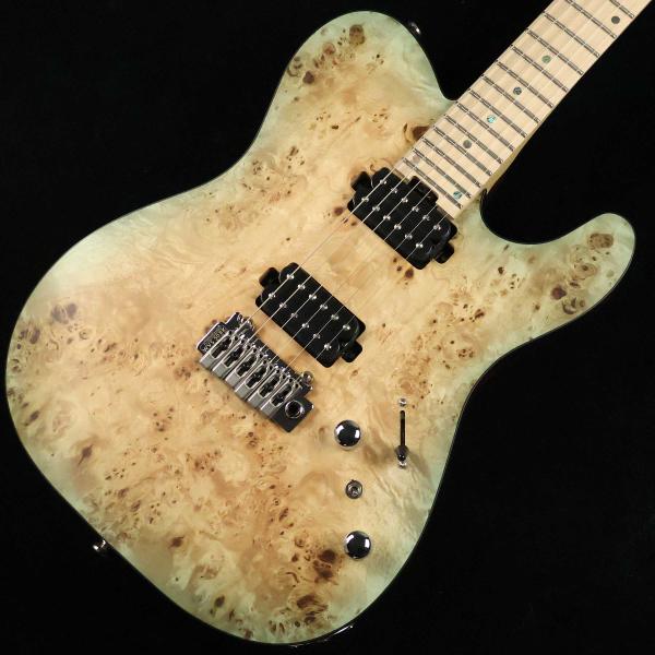 Bacchus バッカス TACTICS24-BP/M KRB-BS-MH　S/N：CI03509 One Day Guitar Show 2024 未展示品