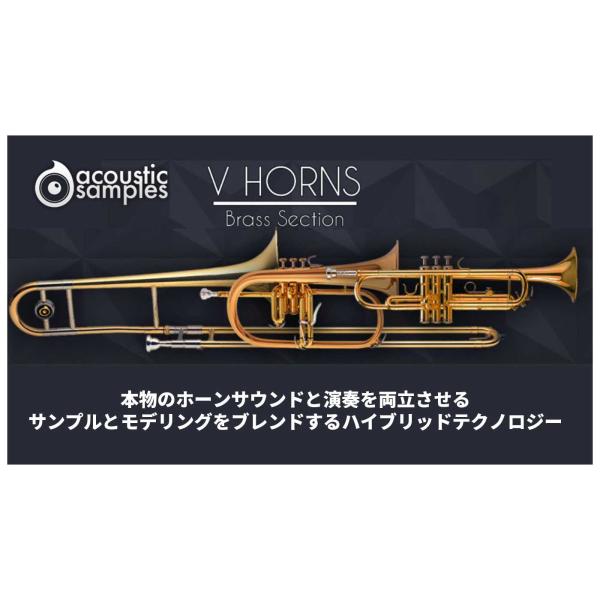 430（fourthirty） Acoustic Samples VHorns Brass Section ソフト音源