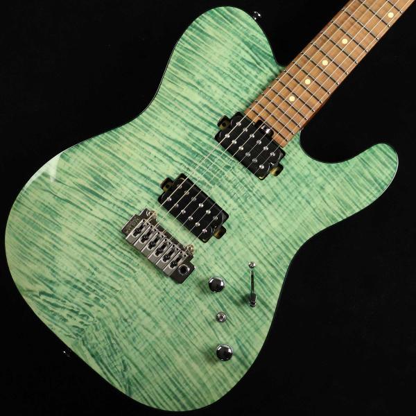 Bacchus エレキギター　TACTICS24 ST-SFG Bacchus([ガッキ]バッカス) / TACTICS24 ST-SFG エレキギター