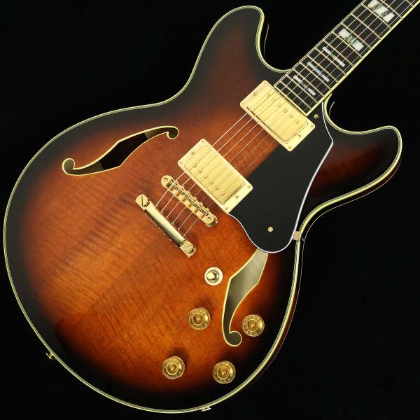 JSM100 John Scofield Signature Model