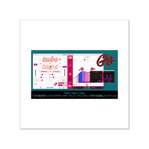GOODHERTZ グッドハーツ TUPE プラグインエフェクト メール納品 代引き不可
