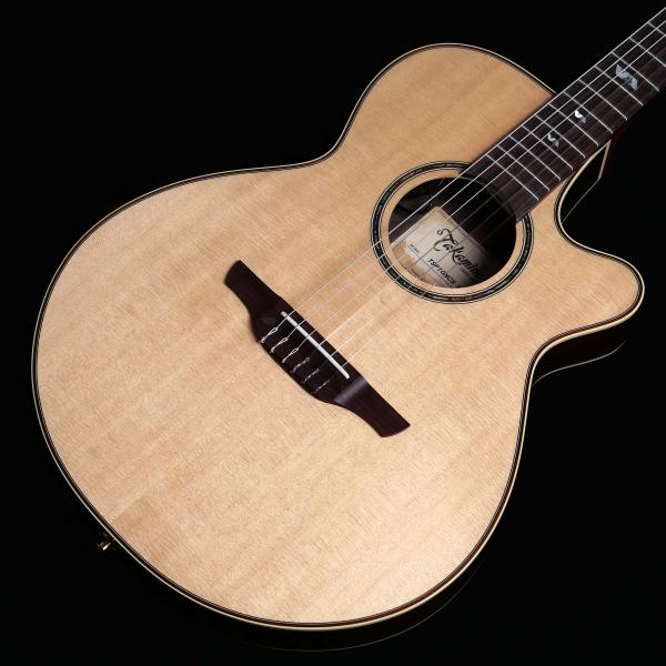 Takamine タカミネ TSP10NCS エレガットギター ナイロン弦