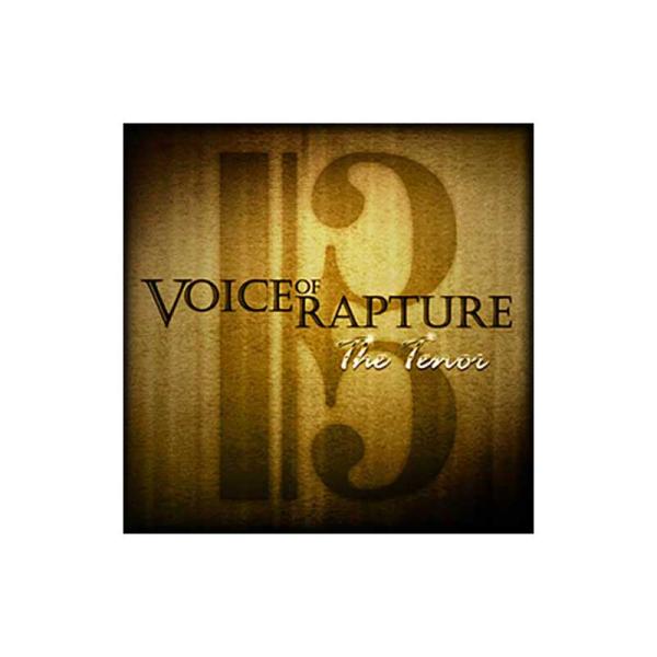 SOUNDIRON サウンドアイアン VOICE OF RAPTURE: THE TENOR ソフト音源 A1449 メール納品 代引き不可