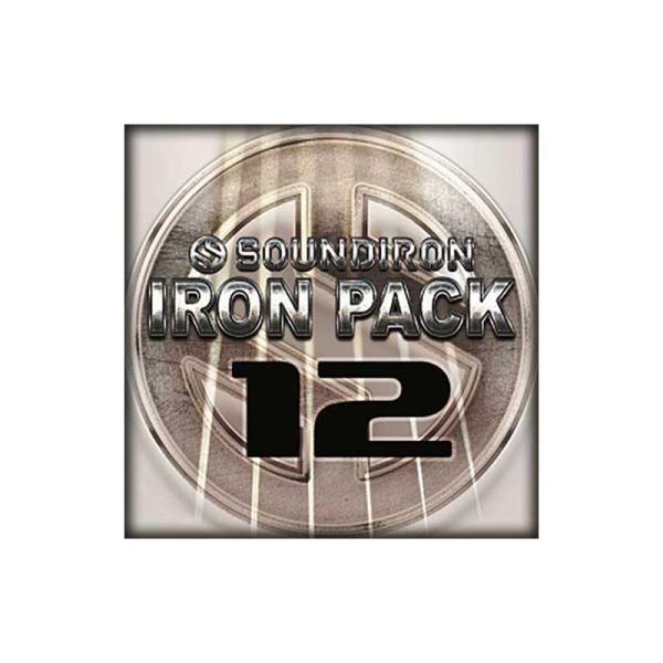 SOUNDIRON サウンドアイアン IRON PACK 12 - PREPARED GUITAR ソフト音源 B5588メール納品 代引き不可