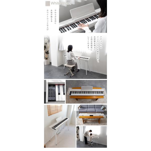 shimamura_mt0189455_2_d_20260111141705