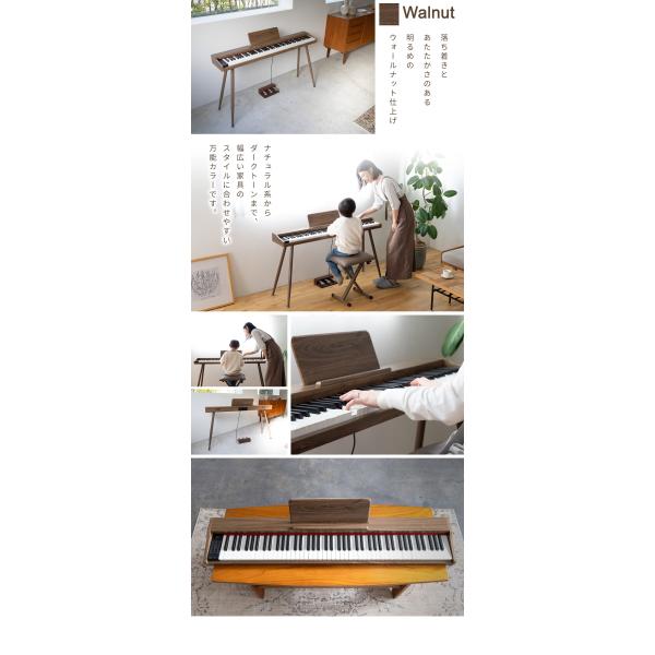 shimamura_mt0189455_3_d_20260111141710