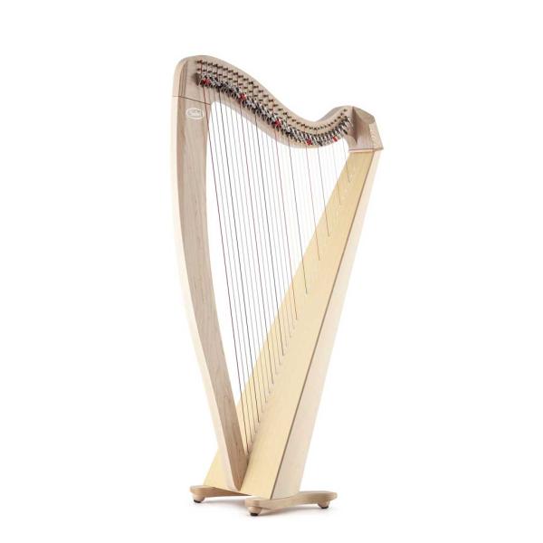 Salvi HARPS サルヴィハープ M2 レバーハープ 34弦ナチュラル