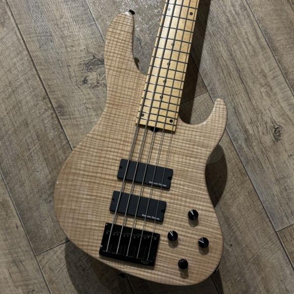 Red house Guitars レッドハウスギター Seeker 5st 24F Flame Maple