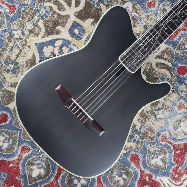 Ibanez（アイバニーズ） TOD10N TKF エレガット Tim Henson Signature
