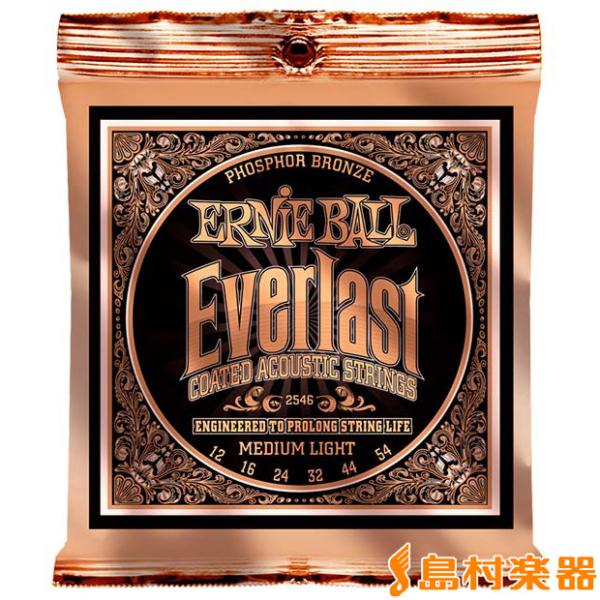 ERNiE BALL アーニーボール 2546 アコースティックギター用弦 : 島村