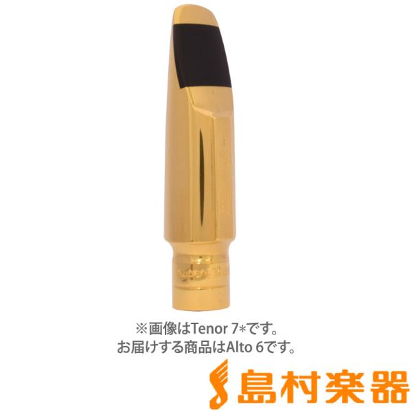 【格安】　Otto LINKアルトサックス　マウスピース 6⭐︎ Amazon.co.jp: オットーリンク アルトサクソフォン・マウス