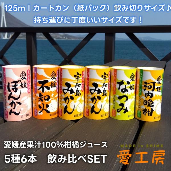 愛工房 宇和島みかんジュース 不知火 河内晩柑 ぽんかん なつみ 温州