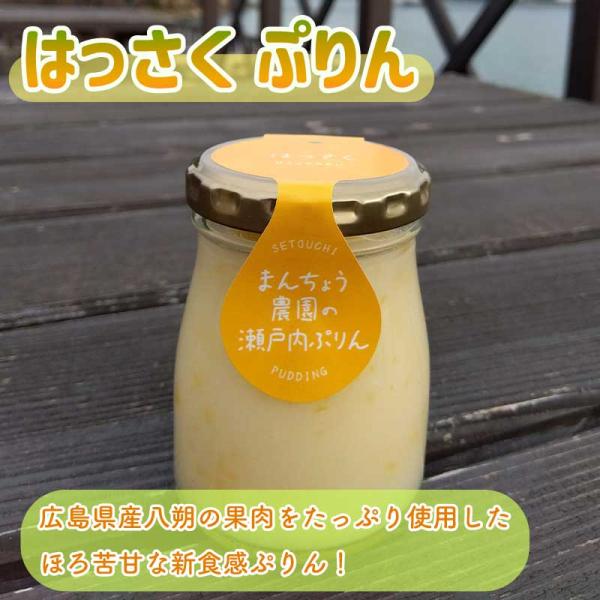 はっさくぷりん プリン 八朔 柑橘 万汐農園 農家スイーツ 広島県産