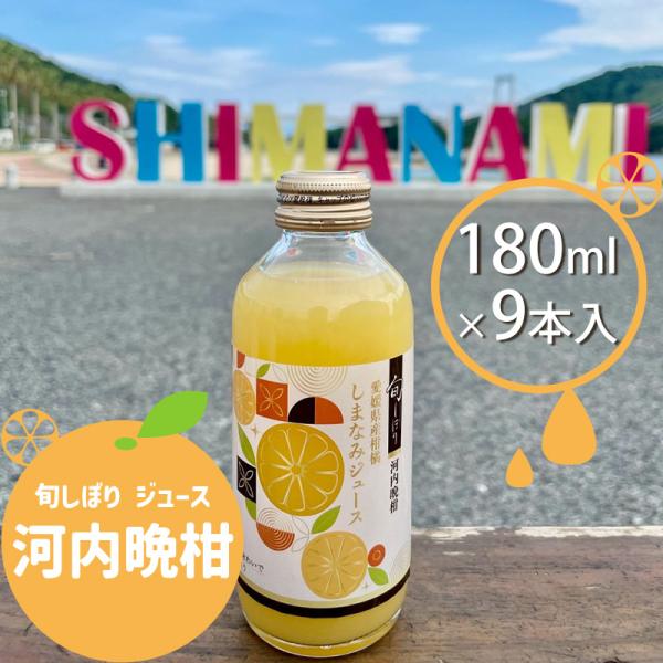 旬しぼり 河内晩柑 愛媛県産 100%ストレートジュース 9本入 180ml 柑橘