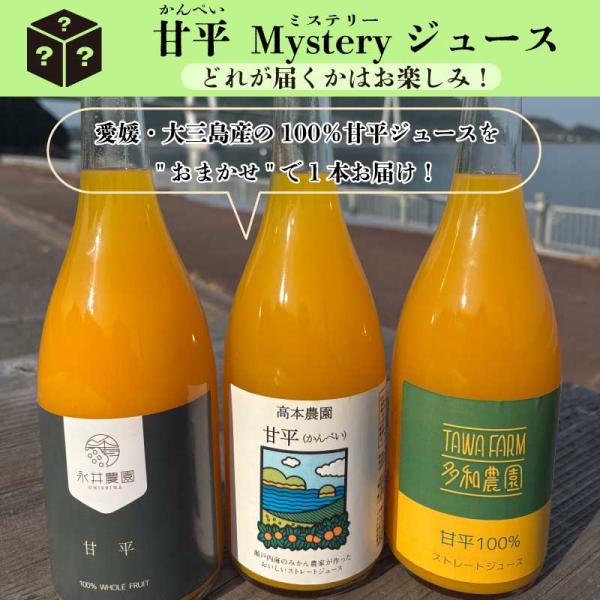 甘平ジュース 柑橘 愛媛 大三島 みかん農家が作った甘平ジュース 果汁