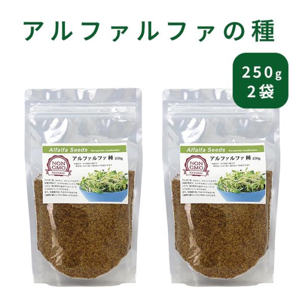 アルファルファの種 500g。屋内で一年中栽培可能です。種をまいてから1週間ほどで収穫できます。◆オーストラリア産◆発芽率95%◆遺伝子組み換えではありません。◆家庭菜園にピッタリ♪◆使い勝手のいい 250g×2個の個包装でお届けします【ア...