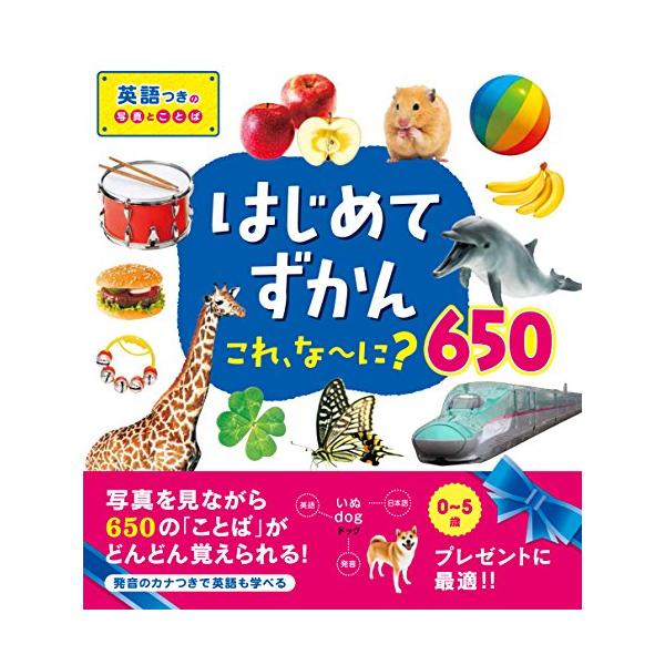 新品 永岡」はじめてずかん これ、な~に?650 : メディアしまりす店