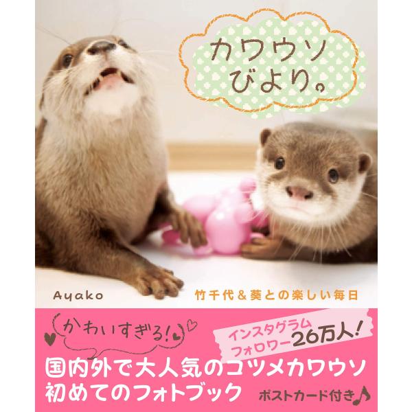「商品状態」★安心の防水梱包★本の状態はこれといった損傷・汚れもなく美品です。「商品情報 (新品の場合) 」Instagramフォロワー26万人!かわいすぎる☆と国内外で大人気のコツメカワウソ、初めてのフォトブック。 ポストカード付き♪【 ...