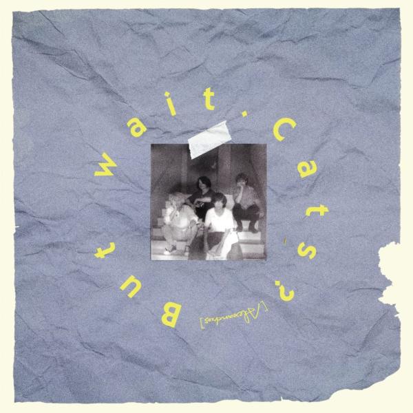 レンタル落ち）But wait Cats? (通常盤) [CD] [Alexandros] : メディア