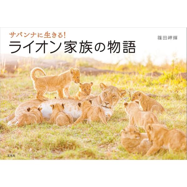 「商品情報」ネコ好きも納得!百獣の王はこんなにも可愛かった6年間にわたり追いかけたライオン家族の物語ケニア・マサイマラ保護区の野生ライオンを6年にわたり撮影し続けた動物写真家・篠田岬輝の写真集。第一章では、ライオンの姿、生活、ハンティング、...