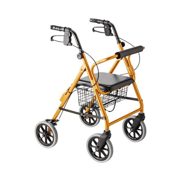 nbs[IINB / 117006@IW^bNi|Ճq[}PAƕj