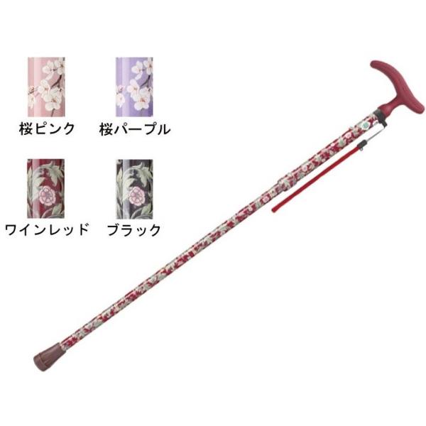 ANeBuO[X@܏ / WB3759@ubNitWz[j