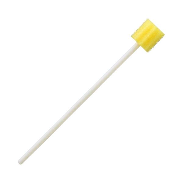 PAn[goȁ@LCX|W`N / 65{iʐqށj