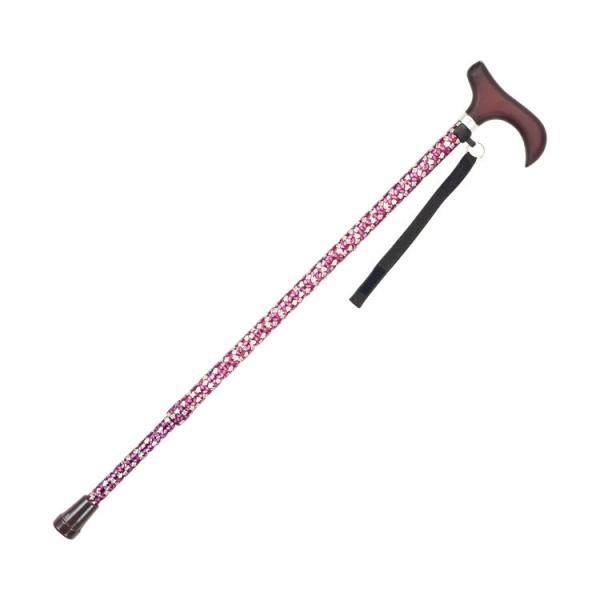 [XebL@Lk / AS-10KF@ԕi}LebNj