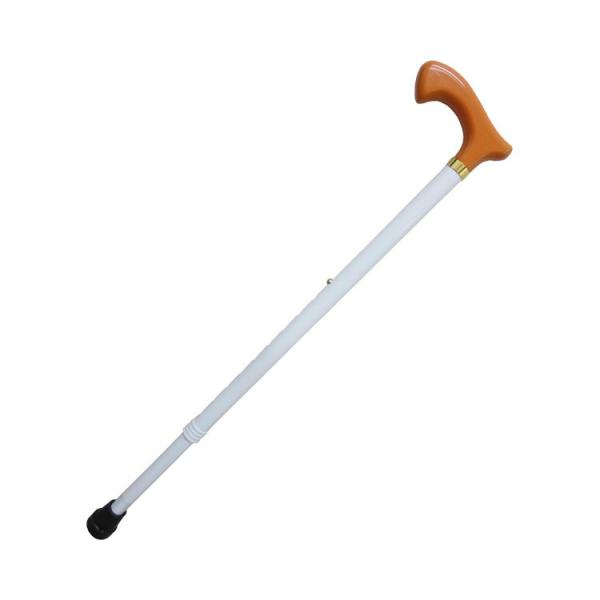 g̎xpzCgXebL@A~Lk / AM19-WE10iAfBAj