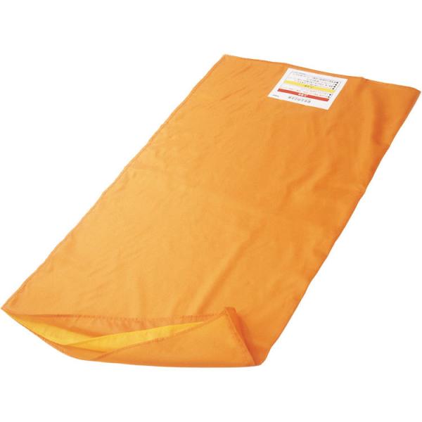 gC[W[XChV[g / TES-100@IWij