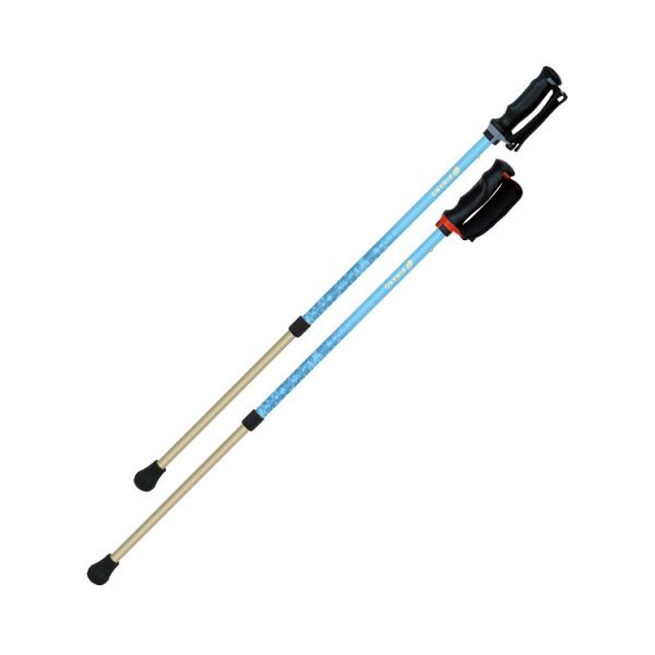 񂵂2{@2{1g / 650190@u[iVimj