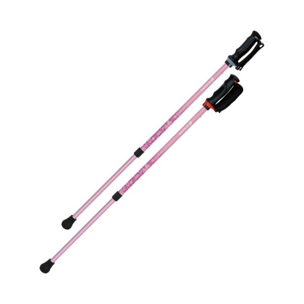 񂵂2{@2{1g / 650191@sNiVimj