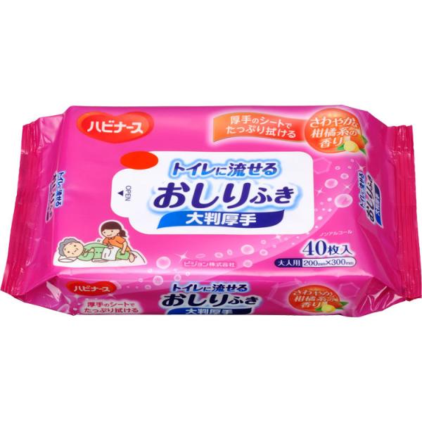 nri[X@gCɗ邨ӂ@唻^Cv / 1160111112@40isWj