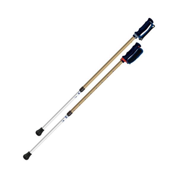 RECX񂵂2{@2{1g / 650201@x[WiVimj