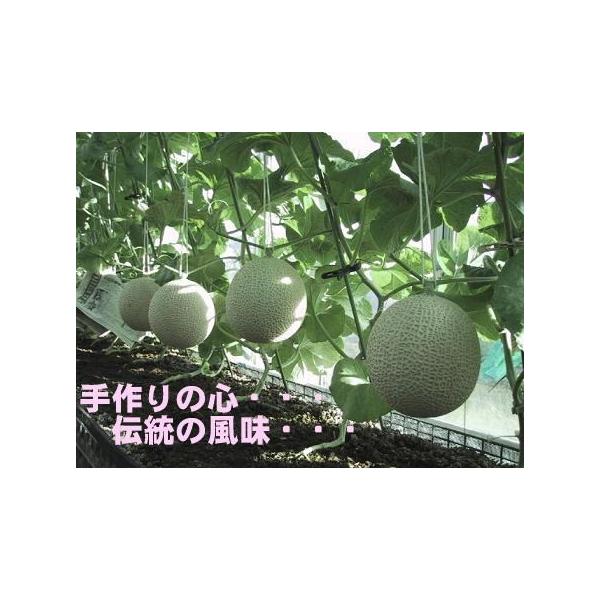 󂠂  ÉY }XN A[}@2ʓ 1.3kg×2