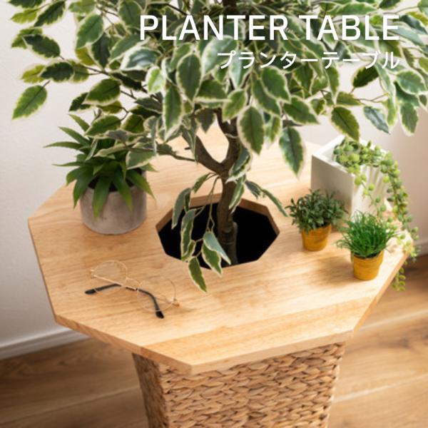 プランターの上に置くだけで、植物が引き立つインテリアに早変わりします。ダボをはめ込むだけの簡単設置。面倒な組立不要の完成品です。天然木のぬくもりが空間に自然に溶け込み、北欧スタイルのアクセントとしてもおすすめです。【おすすめポイント】・プラ...