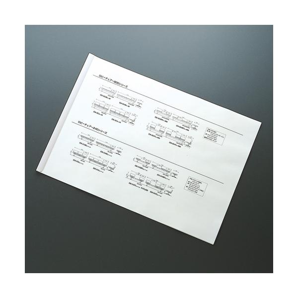 コクヨ 製本レール２９７ Ａ４ジャストサイズ １０本入り 白 フ−ＳＲ７６２Ｗ品番：フ-SR762WJANコード:4901480140926※メーカーの都合によりパッケージ及び内容量などが予告なく変更される場合があります。