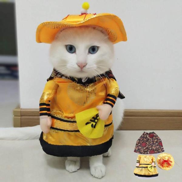 犬服 猫服 ペット服 コスプレ 仮装 洋服 ドッグウェア ペット 犬 猫 服 ペットウェア おしゃれ Buyee 日本代购平台 产品购物网站大全 Buyee一站式代购 Bot Online