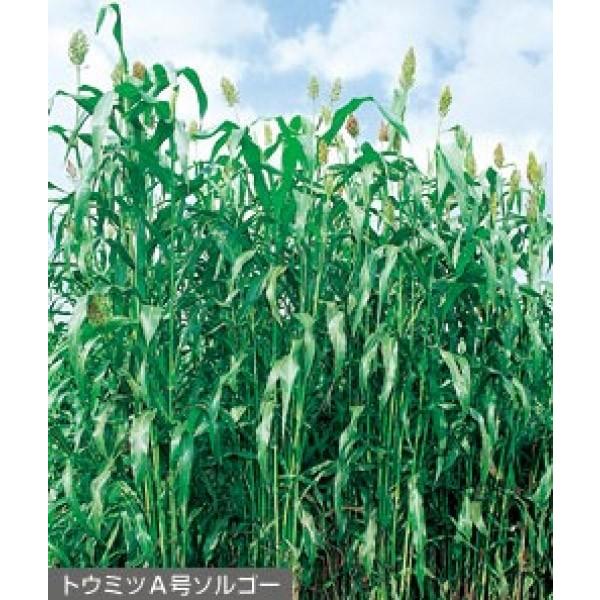 y\Kqz^LCc@gE~cA\S[@20kg@[J[/s