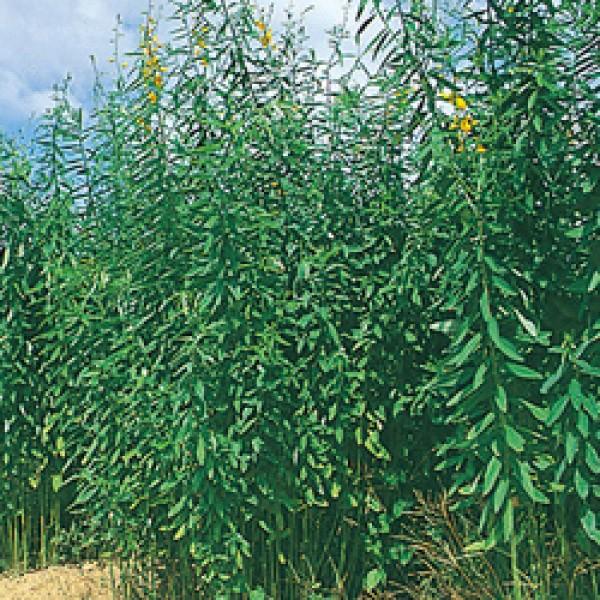 yN^Aqz^LCc@lRuL[@1kg@[J[/s