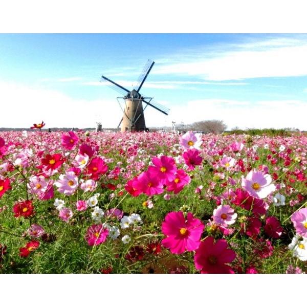 yRXXqz^LCc@ZZ[V@1kg@[J[ɂs